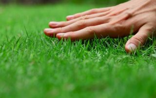 djubrenje trave marciranjem