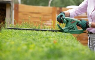 električne makaze za zivu ogradu