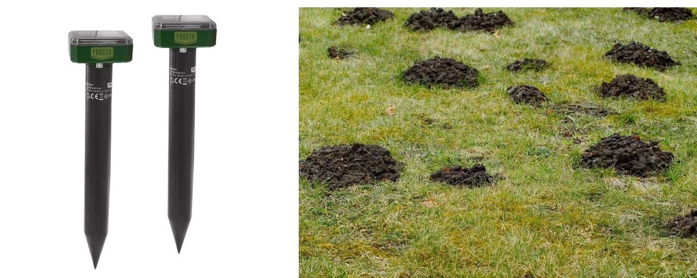 Rasterivači krtica iskustva